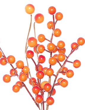 Vara de berries Bluebell & Co.