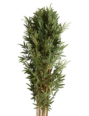 Bambú Haus 240 cm con maceta