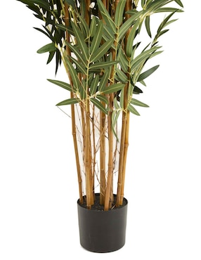 Bambú Haus 240 cm con maceta
