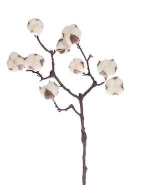 Vara decorativa Bluebell & Co.
