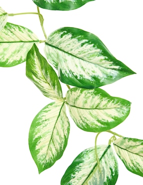 Guirnalda de aglaonema Bluebell & Co. 160 cm