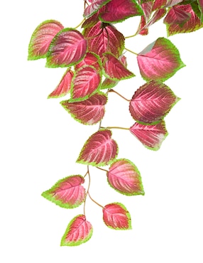 Coleus artificial Bluebell & Co.
