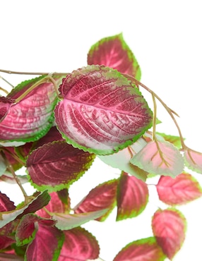 Coleus artificial Bluebell & Co.