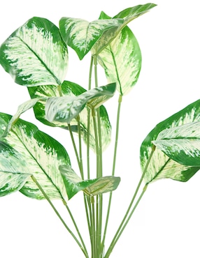 Ramo de aglaonema Bluebell & Co.