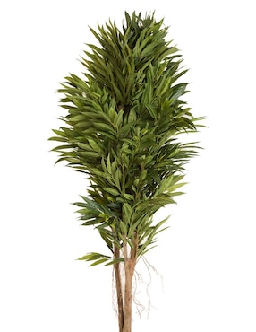 Mástil Haus Longif 250 cm con maceta