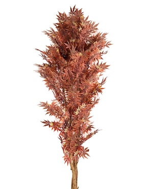 Maple Haus 233 cm con maceta