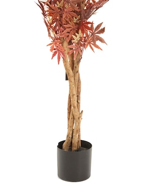 Maple Haus 233 cm con maceta