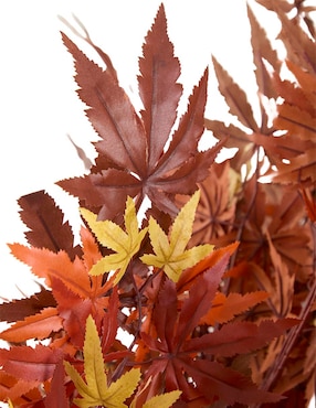 Maple Haus 233 cm con maceta