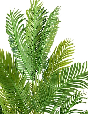 Palmera Haus 240 cm con maceta