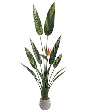 Alpinia Zerumbet Artificial Artego