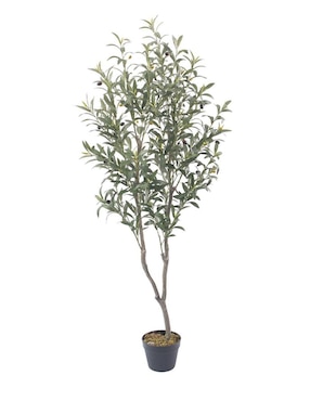 Olivo artificial Vanlig