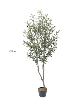 Olivo artificial Vanlig