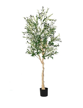 Olivo artificial Vanlig