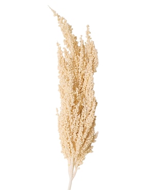 Trigo decorativo Bluebell & Co.