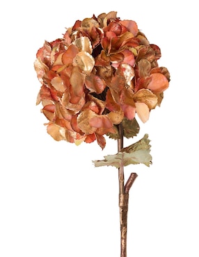 Hortensia Bluebell & Co. Hydra Metal 3