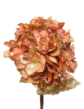 Hortensia Bluebell & Co. Hydra Metal 3