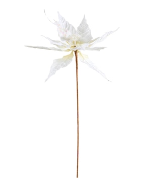 Flor de nochebuena Christmas Spirit