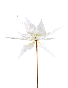 Flor de nochebuena Christmas Spirit