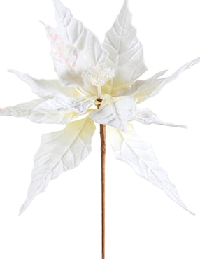Flor de nochebuena Christmas Spirit