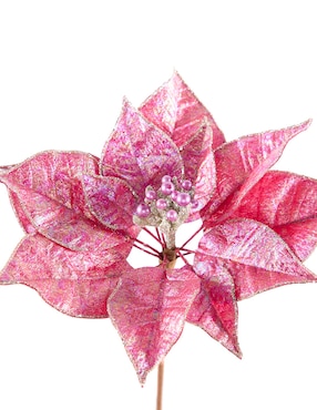 Flor de nochebuena Christmas Spirit