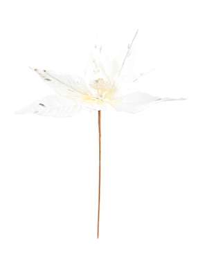 Flor de noche buena Christmas Spirit