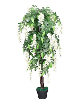 Acacia artificial Vanlig