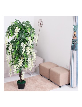 Acacia artificial Vanlig