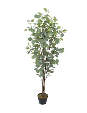 Eucalipto artificial Vanlig