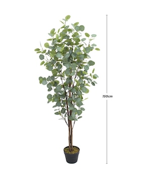 Eucalipto artificial Vanlig