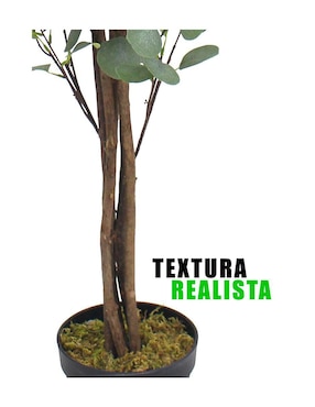 Eucalipto artificial Vanlig