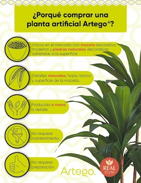 Palo de brasil artificial Artego Congo