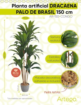 Palo de brasil artificial Artego Congo