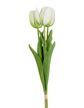 Ramo de tulipán Haus