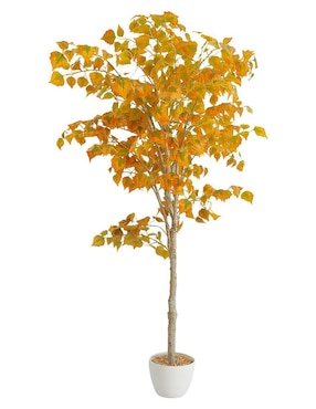 Árbol Artego abedul