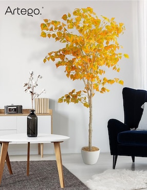 Árbol Artego abedul
