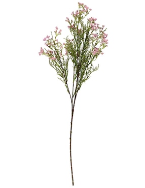 Gypsophila decorativa Haus con acabado natural