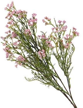 Gypsophila decorativa Haus con acabado natural