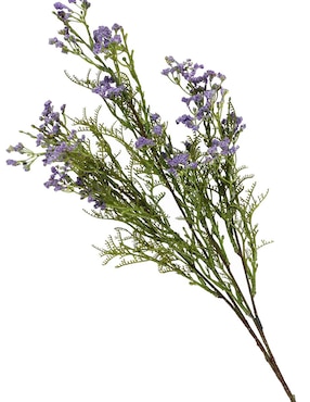 Gypsophila decorativa Haus con acabado natural