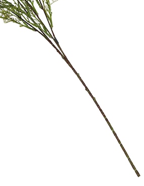 Gypsophila decorativa Haus con acabado natural