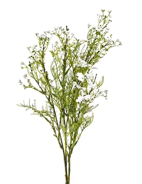 Gypsophila decorativa Haus con acabado mate