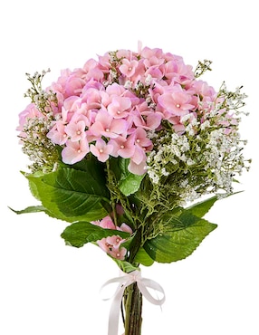 Gypsophila decorativa Haus con acabado mate