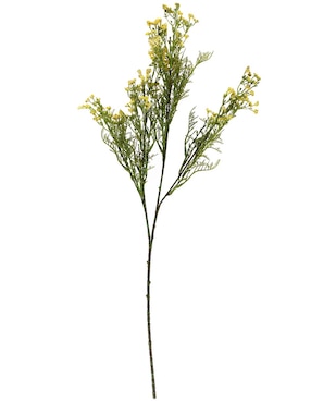 Gypsophila decorativa Haus con acabado natural