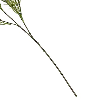 Gypsophila decorativa Haus con acabado natural