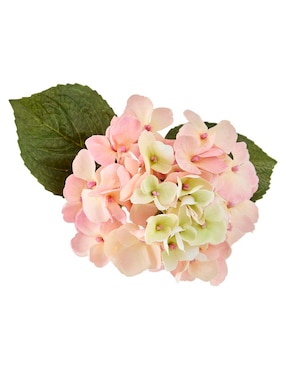 Hortensia Haus