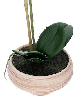 Preelaborado de orquídea Haus