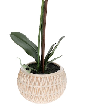 Preelaborado de orquídea Haus