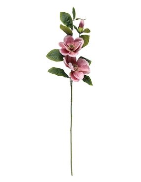 Magnolia Haus