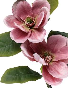 Magnolia Haus