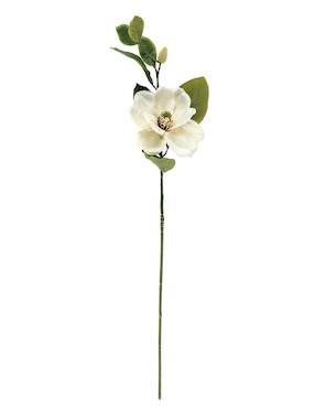 Magnolia Haus