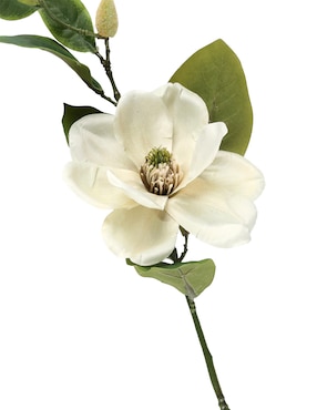 Magnolia Haus